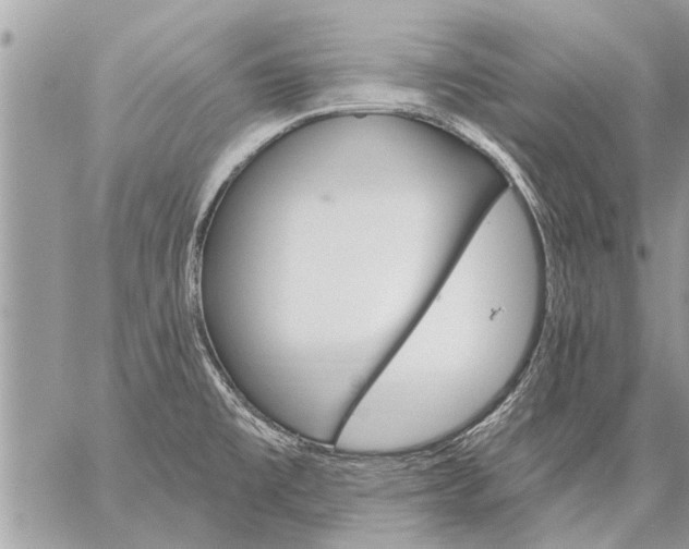 X0000059061477200510171927