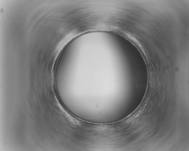 X0000059061479200510171927