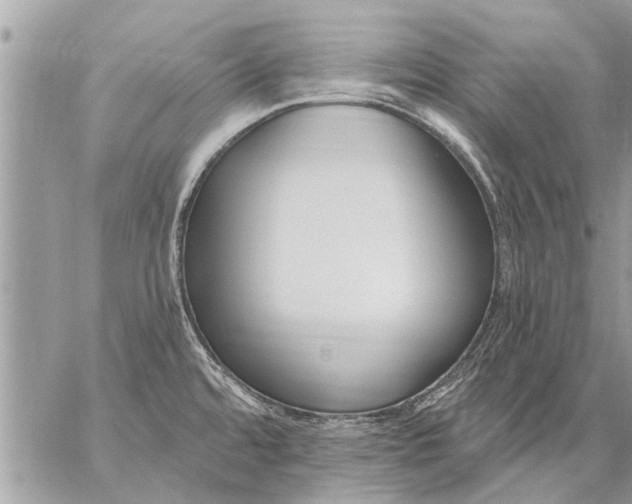 X0000059061480200510171927