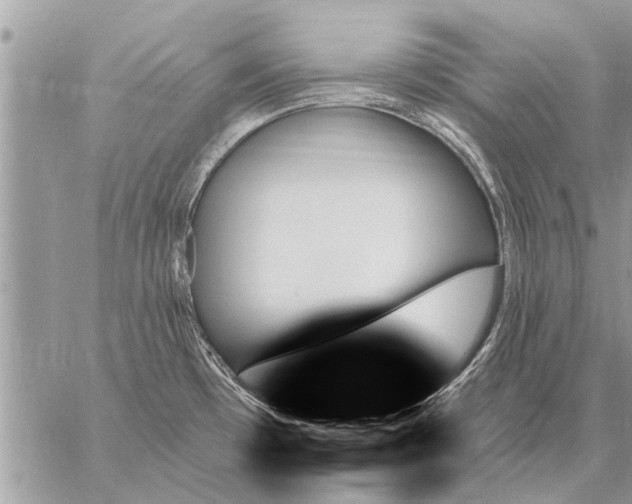 X0000059061481200510171927