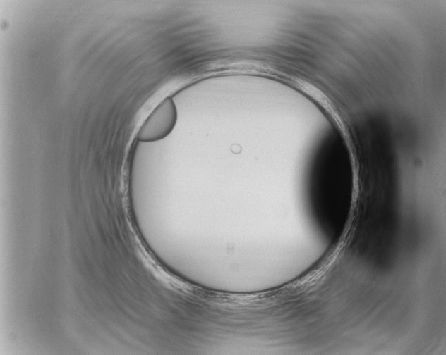 X0000059061482200510171927