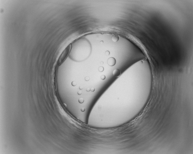 X0000059061483200510171927