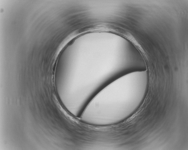 X0000059061484200510171927