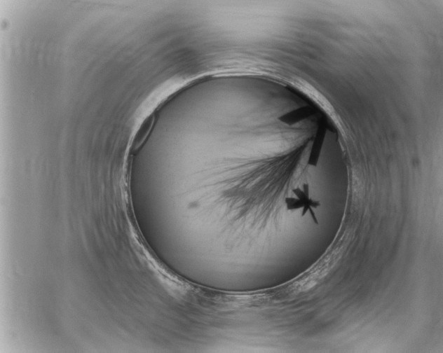 X0000059061485200510171927