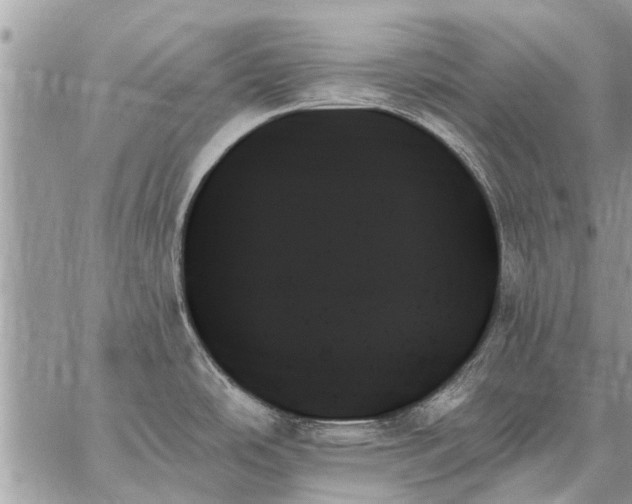 X0000059061486200510171927