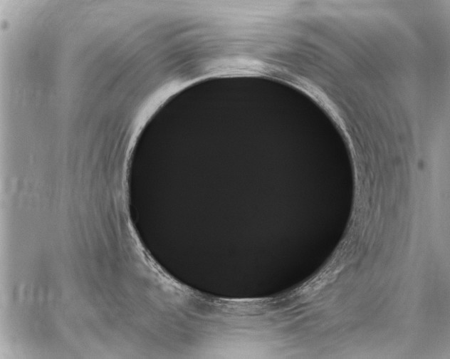 X0000059061488200510171927