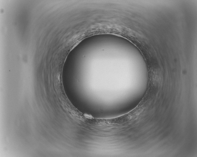 X0000059061489200510171926