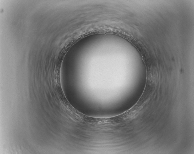 X0000059061490200510171926