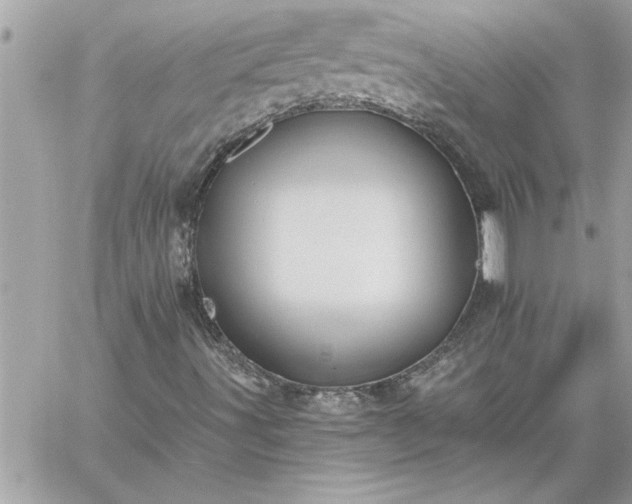 X0000059061491200510171926