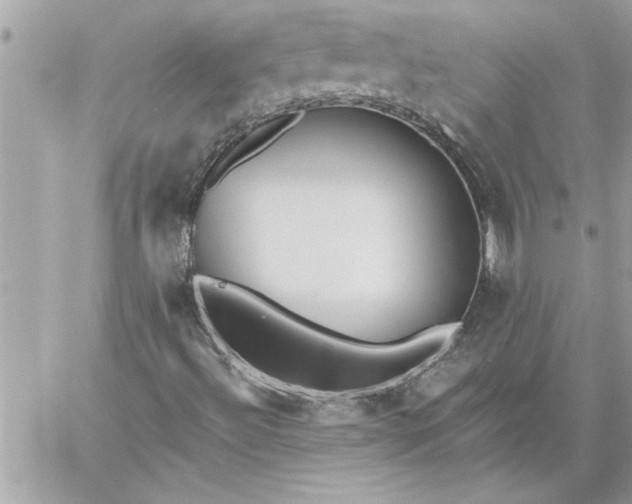 X0000059061492200510171926