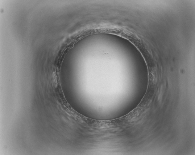 X0000059061493200510171926