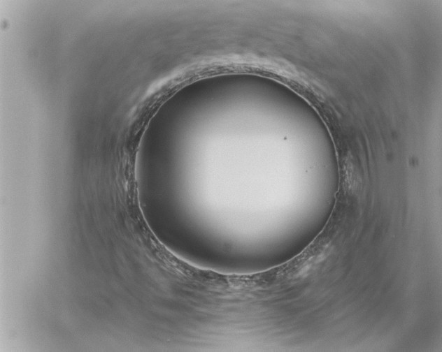 X0000059061494200510171926