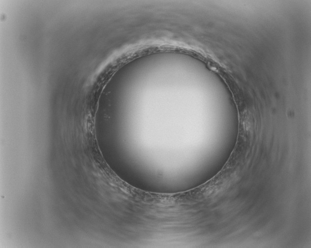 X0000059061495200510171926