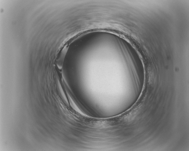 X0000059061497200510171926