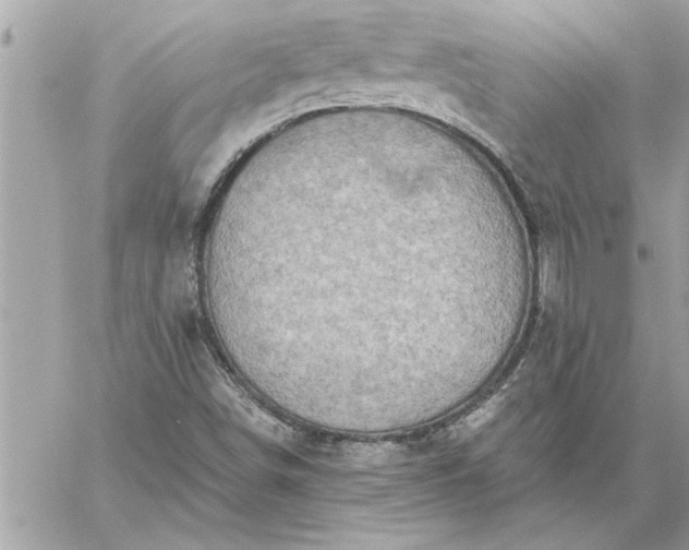 X0000059061498200510171926