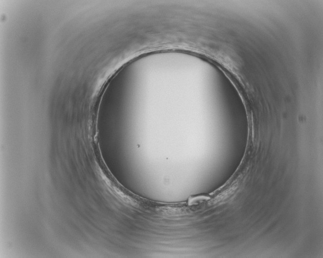 X0000059061500200510171926