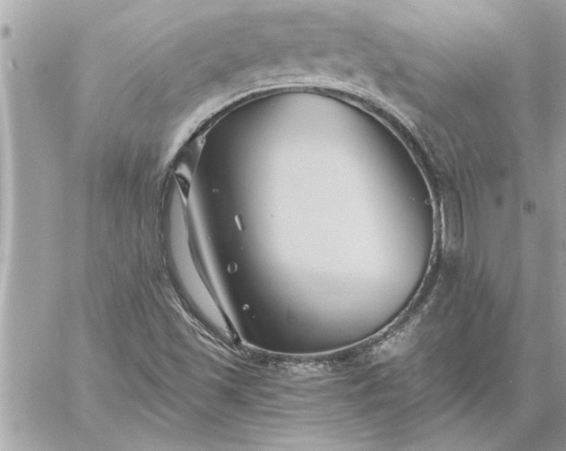 X0000059061501200510171926