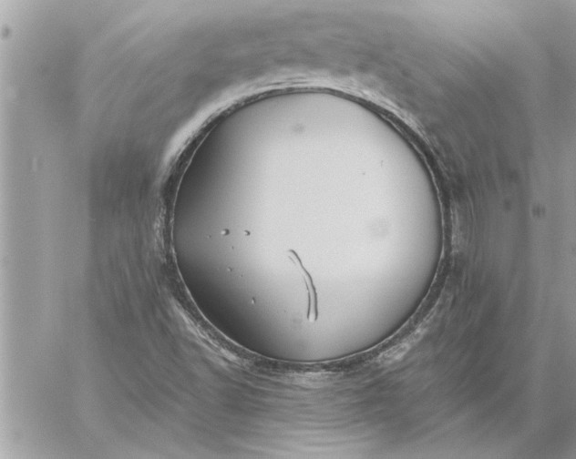 X0000059061502200510171926