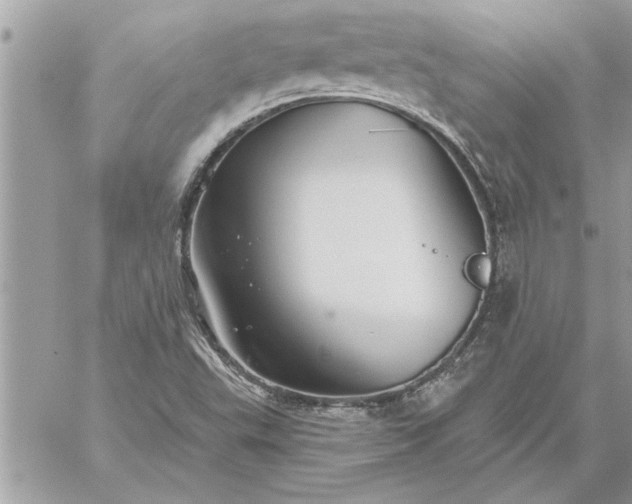 X0000059061503200510171926