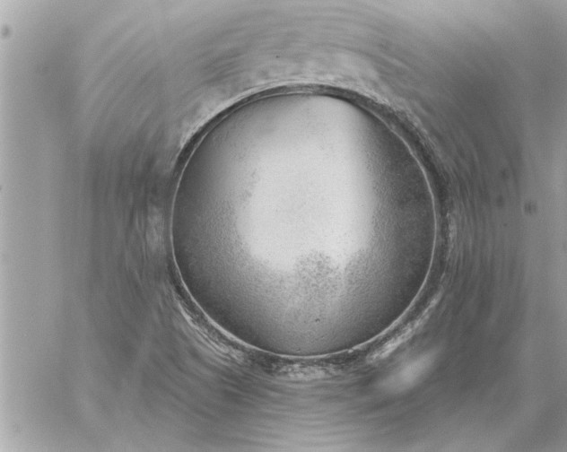 X0000059061505200510171926