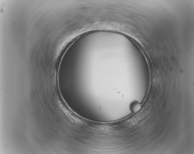 X0000059061507200510171926