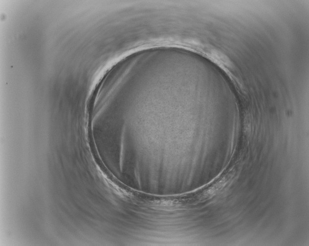 X0000059061508200510171926