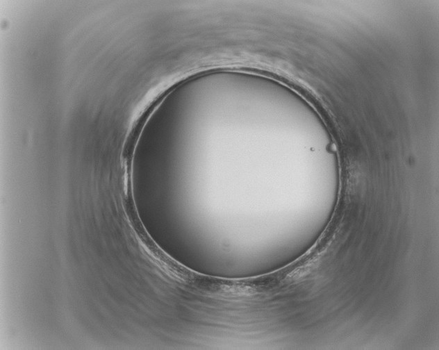 X0000059061509200510171926