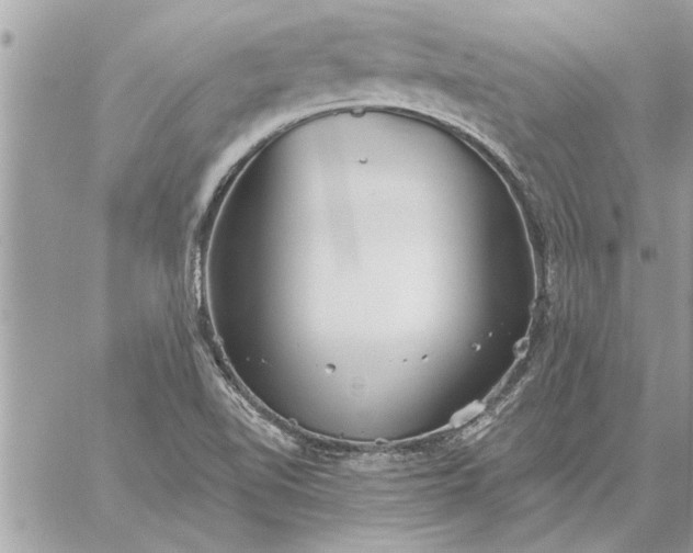 X0000059061510200510171926