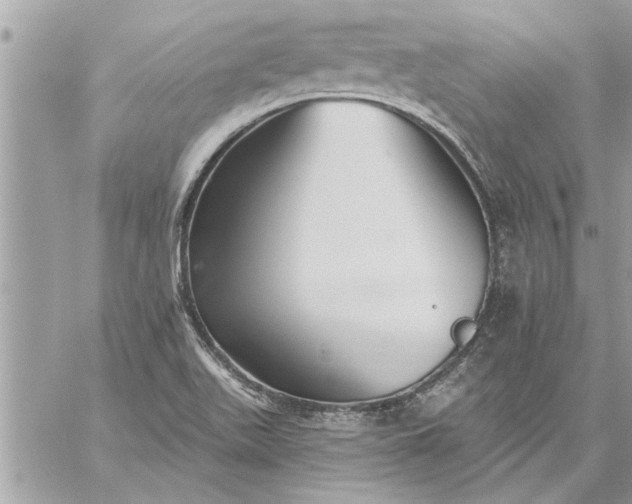 X0000059061511200510171926