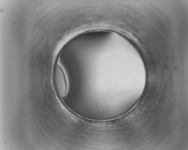 X0000059061512200510171926