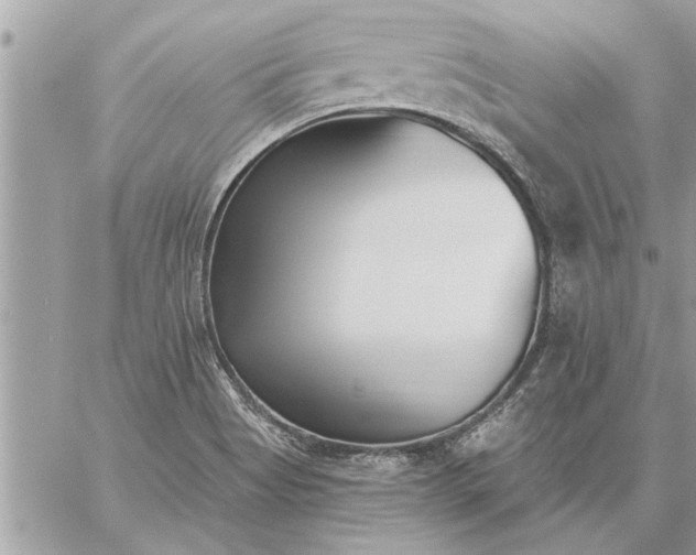 X0000059061513200510171926