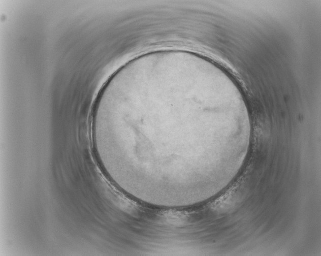 X0000059061514200510171926