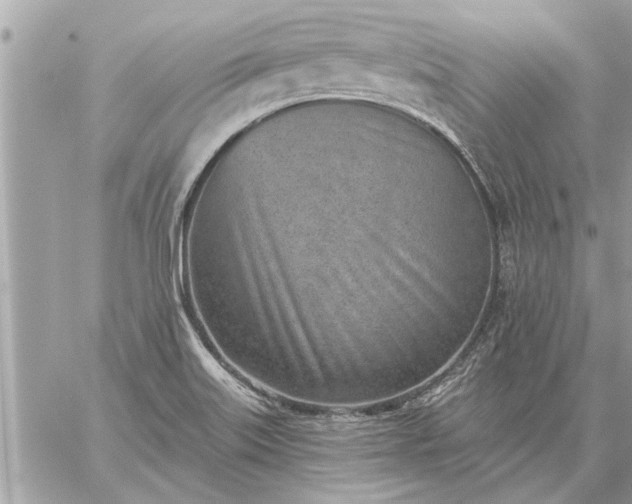 X0000059061515200510171926