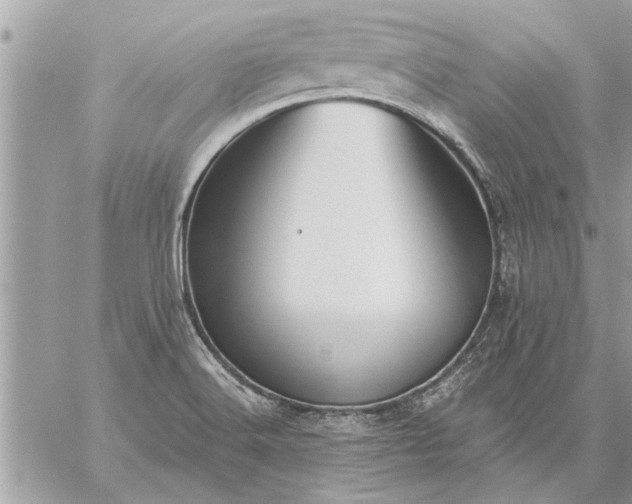 X0000059061516200510171926