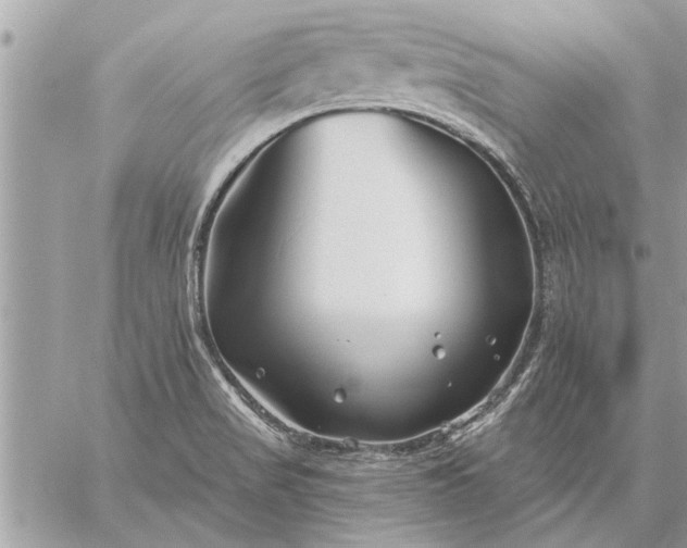 X0000059061517200510171926