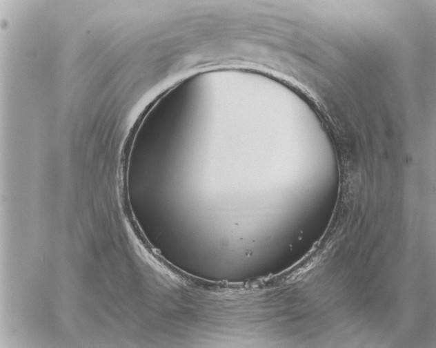 X0000059061518200510171926