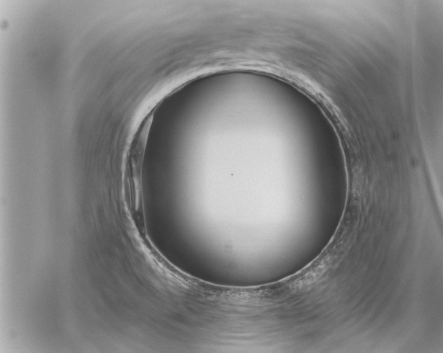 X0000059061520200510171926