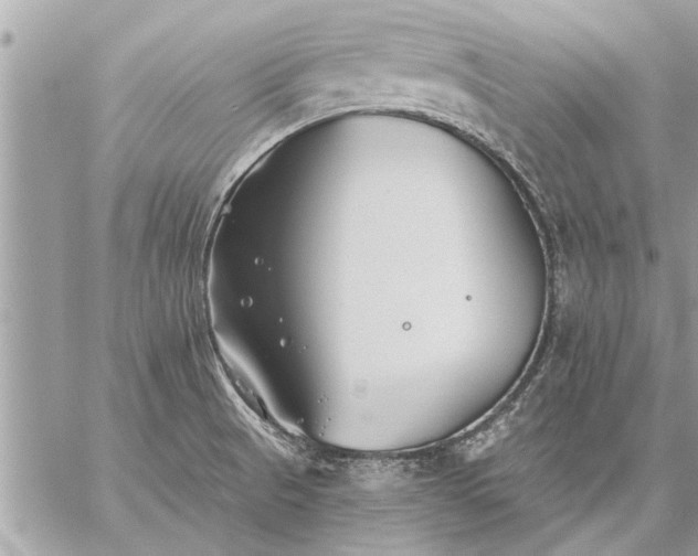 X0000059061521200510171926