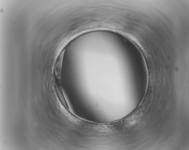 X0000059061524200510171926