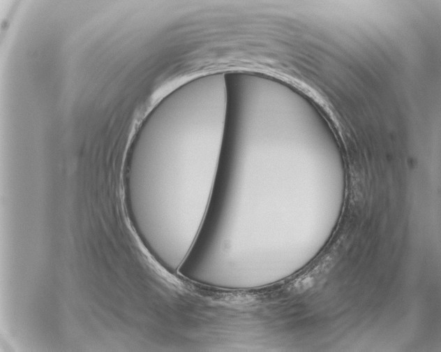 X0000059061525200510171926