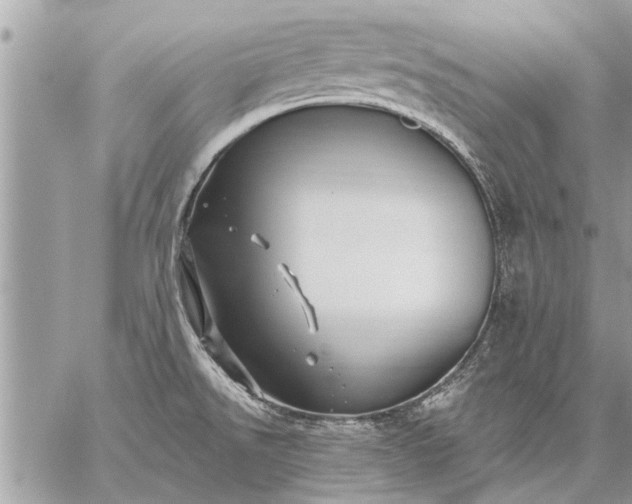 X0000059061526200510171926