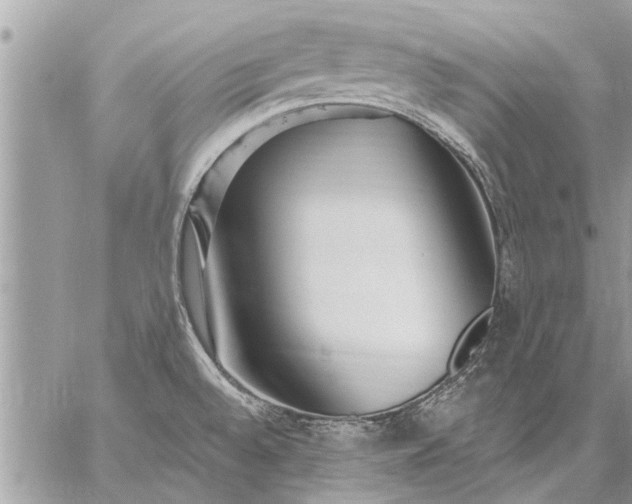 X0000059061528200510171926