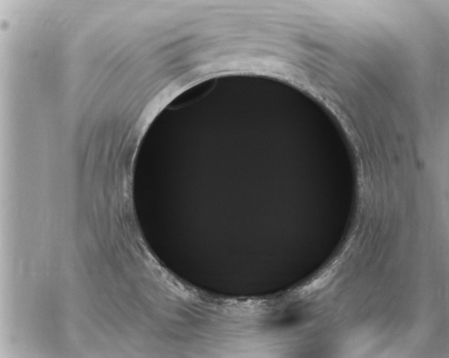 X0000059061529200510171926