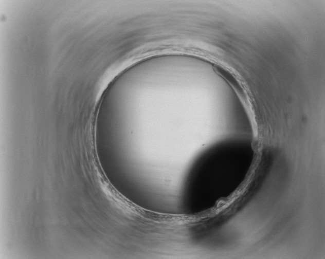 X0000059061530200510171927