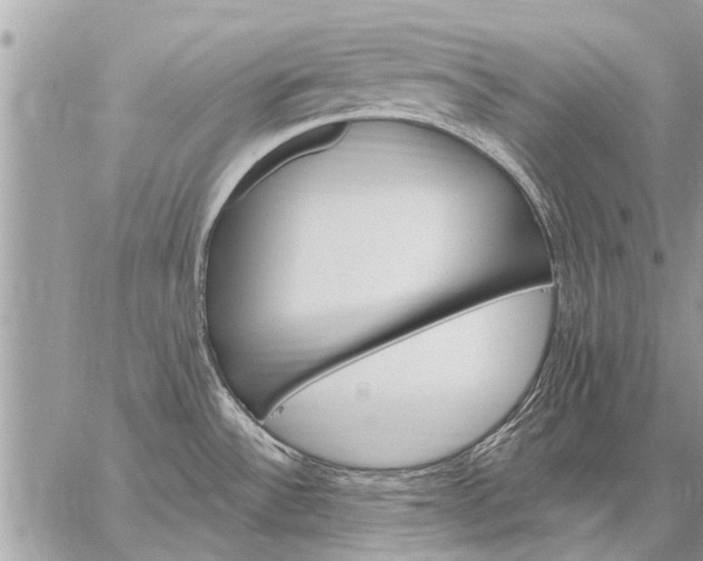 X0000059061532200510171927