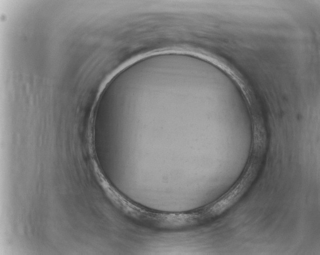 X0000059061534200510171927