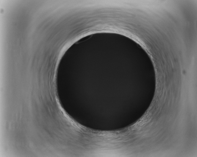 X0000059061536200510171927