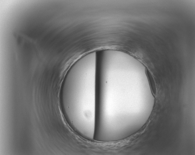 X0000059060001200510212039