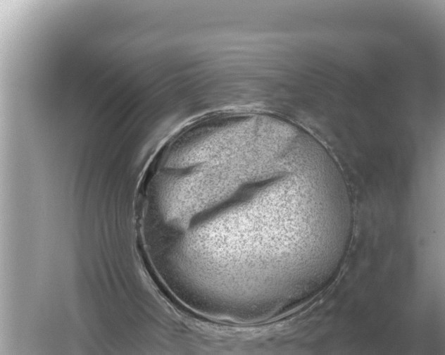 X0000059060002200510212039