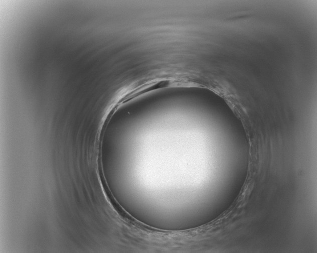 X0000059060003200510212039